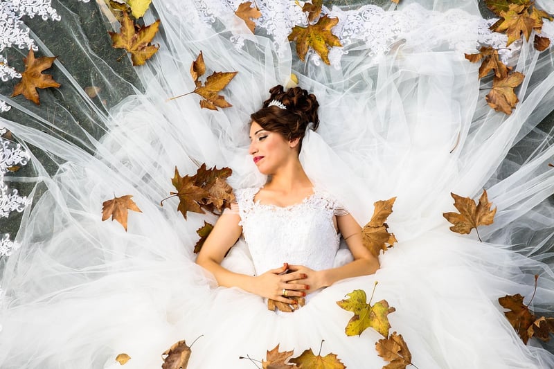 Sophisticated Simplicity Wedding Dress